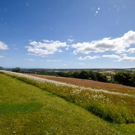 3 Bed In Whitby 90809